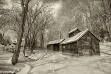 Snowy Park Sepia2.jpg