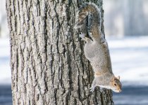 DSC_1192.jpg