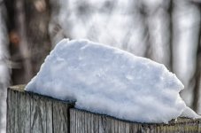 DSC_9577-Edit.jpg