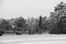 DSC_1122.jpg