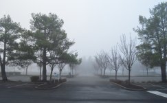 DSC_7797.jpg