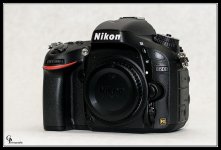 Day42D600.jpg