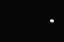10th Feb 2014 008.JPG