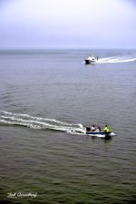 _DSC8365.jpg