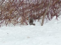 DSCN1235.jpg