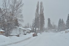 NIK_3381.jpg