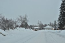 NIK_3387.jpg