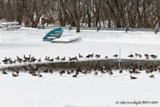 20140212-_D807367-Edit.jpg