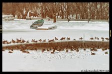 20140212-_D807367-EditOld.jpg