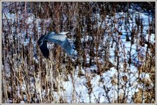DSC_0120 (1280x854).jpg