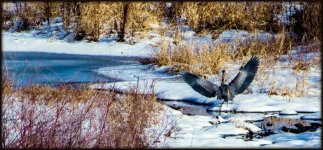 DSC_0134 (1280x589).jpg