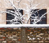 snowwall.jpg