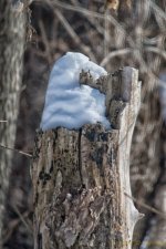 DSC_7362-Edit.jpg