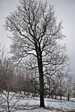DSC_1764.jpg