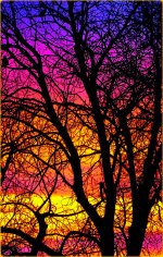 multicolor.jpg