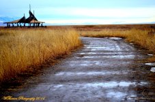 Wildlife Refuge after a winter rain.jpg