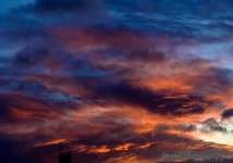 DSC_2162 web.jpg
