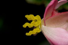 DSC_4704.jpg