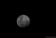 SHM_9754.jpg