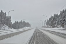 NIK_3394.jpg