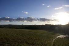 DSC_4239.jpg