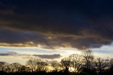 DSC_4247.jpg