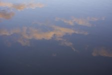 DSC_4246.jpg