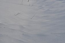 NIK_3574.jpg