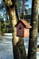 2014-02-13 Back Yard Birdhouse In Snow -  for upload.jpg