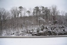 DSC_4104.JPG