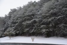 DSC_4102.JPG