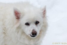 DSC_7369.jpg