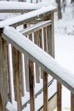 DSC_7374.jpg