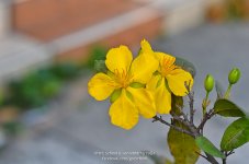 morning-1.jpg