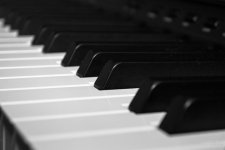 Day44-2.jpg
