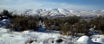 DSC_5590.jpg