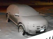 DSCN0429.jpg