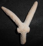 DSCN0437.jpg