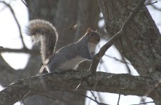 _DSC1679.jpg