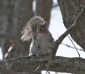 _DSC1681.jpg