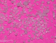 045 Sugar-140214_01.jpg
