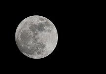 13th Feb 2014 004.JPG