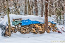 DSC_7389-Edit.jpg