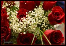 Day 45 Flowers.jpg
