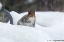 20140214-_D623358.jpg