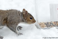 20140214-_D623366.jpg