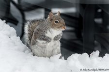 20140214-_D623407.jpg