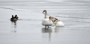 DSC_2068.jpg