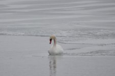 DSC_2081.jpg