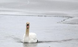DSC_2124.jpg